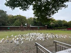 -上海野生动物园