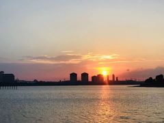 -九龙湖公园