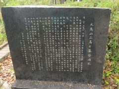 -上海佘山国家森林公园天马山园