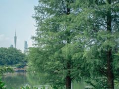 -海珠湖公园