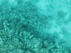 -蓝湾海滩