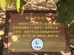 -烟墩角天鹅湖