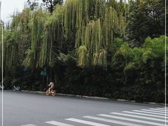 -成都市活水公园