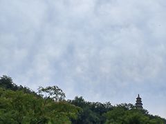 -渭南桃花源民俗文化园