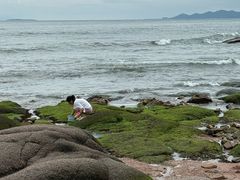 -青岛海景花园大酒店·白果树餐厅青岛菜
