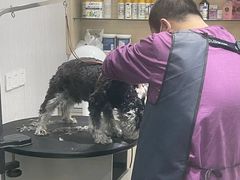 -宠颐生动物医院·小陆分院