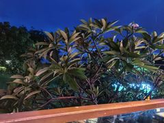-亚龙湾红树林度假酒店-韩轩韩餐厅