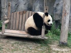 -野生动物园-停车场