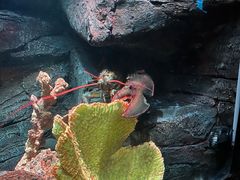 -沈阳海洋探索中心