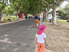 -宜兴龙背山森林公园