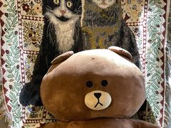 -平行世界·猫咖(首经贸店)