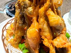 -港升鱼师傅·中山脆肉鲩