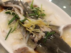 -海晖酒楼·顺德鱼生(荣华店)