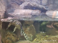 -波塞冬旅游度假区