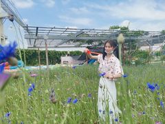 -武汉紫薇都市田园