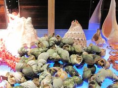 海螺-广州花园酒店-凌璇阁360度高空海鲜自助餐CAROUSEL