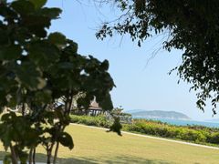-三亚亚龙湾红树林度假酒店