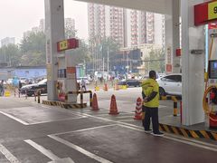 -中福石油新龙加油站(建材城西路)