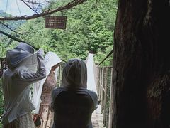 -磐安十八涡风景区