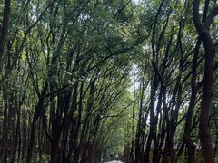 -同里国家湿地公园