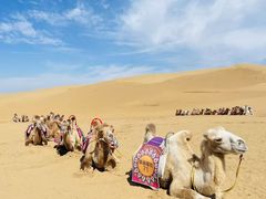 -银肯塔拉沙漠生态旅游景区