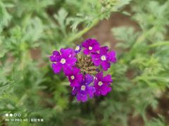 -迎泽公园