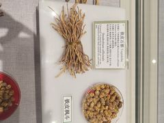 -北京中医药大学-中医药博物馆