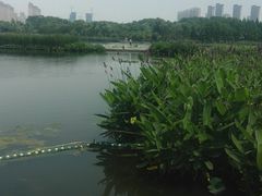 -尚贤河湿地