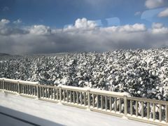 -海底捞火锅(威高广场店)
