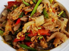 -半坡九号老挝冰咖啡