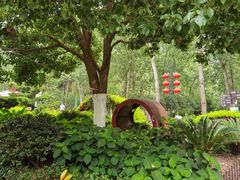 -合肥滨湖国家森林公园