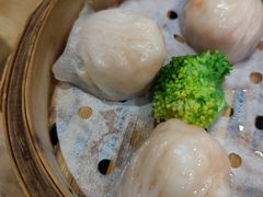 招牌虾饺皇-粤赏点(越秀城市广场店)