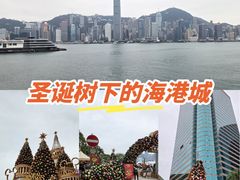 -海港城