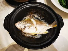 -观海海鲜(蛇口广场店)