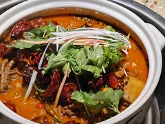-先机泉水鸡汤(南山老君洞店)