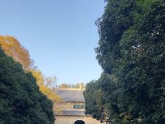 -灵谷景区