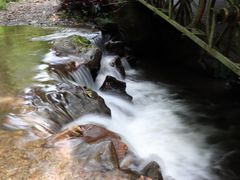 -莫里热带雨林景区