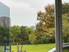 -上海微创医疗器械（集团）有限公司