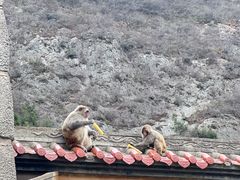 -白帝城·瞿塘峡景区