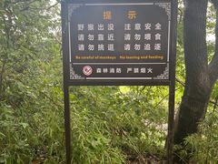 -苏州上方山国家森林公园