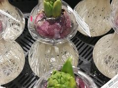 -鹿岛会员店 (龙湖三千集天街店)