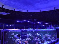 -海合安武汉极地海洋公园