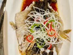 -上海明天广场JW万豪酒店