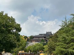 -汤山公园