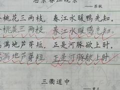 -赵汝飞练字硬笔书法(博泰国际校区)