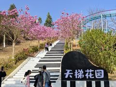 -盈香心动乐园