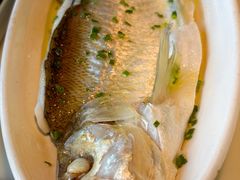 招牌清蒸钱塘江白条-柳莺湖上·湖景餐厅·江南菜(西湖店)