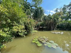 -中国科学院西双版纳热带植物园