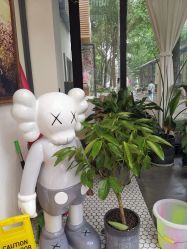 -宝贝家族国际影像馆(东郊记忆店)