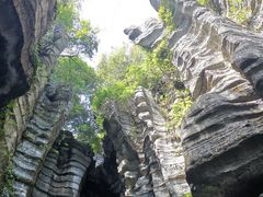 -梭布垭石林景区